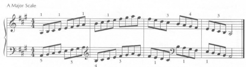 image of musical scales