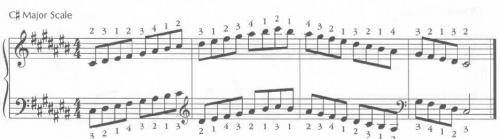 image of musical scales