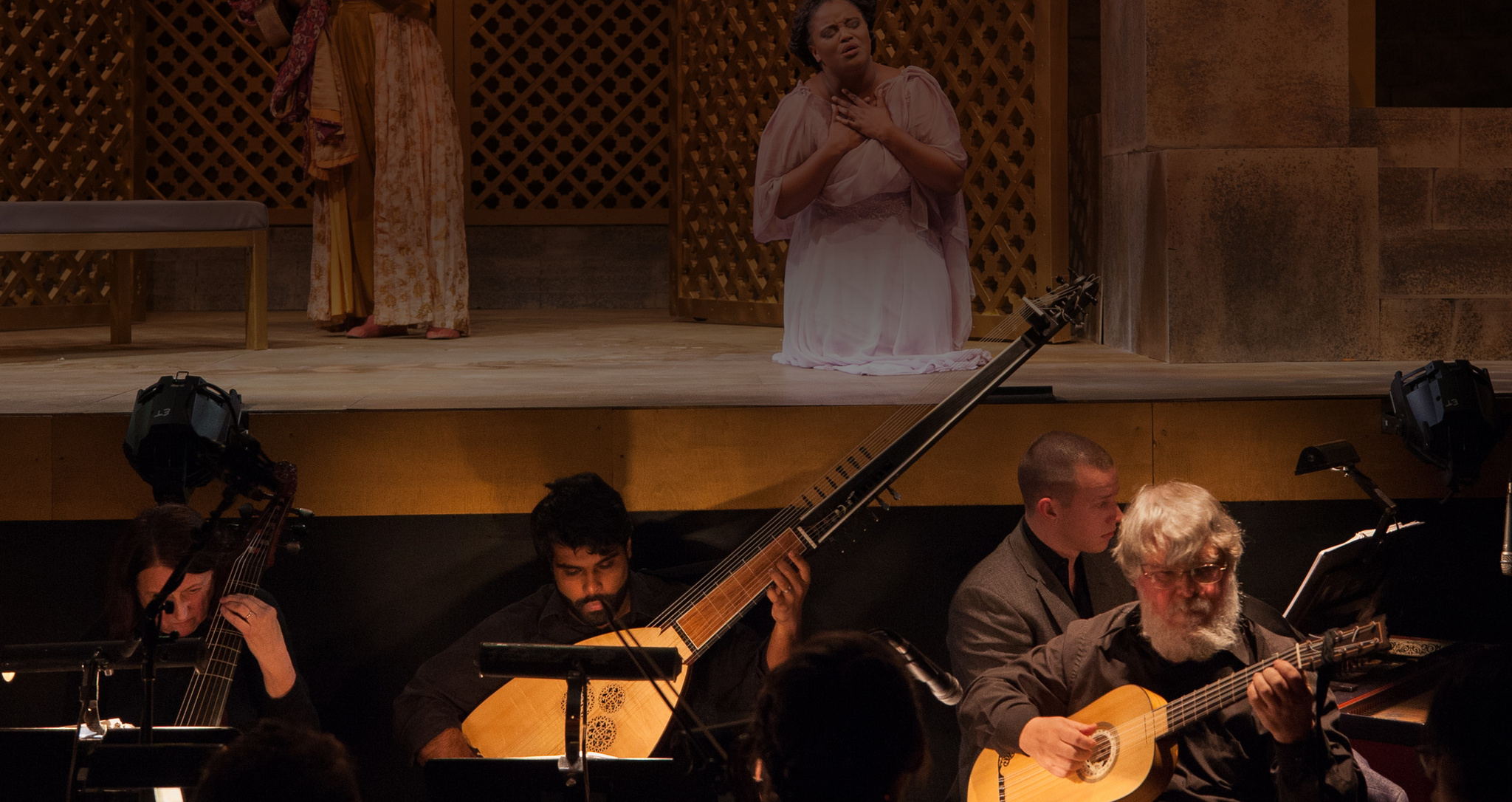 Lute player Lute player