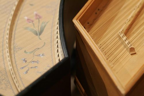 image of instrument