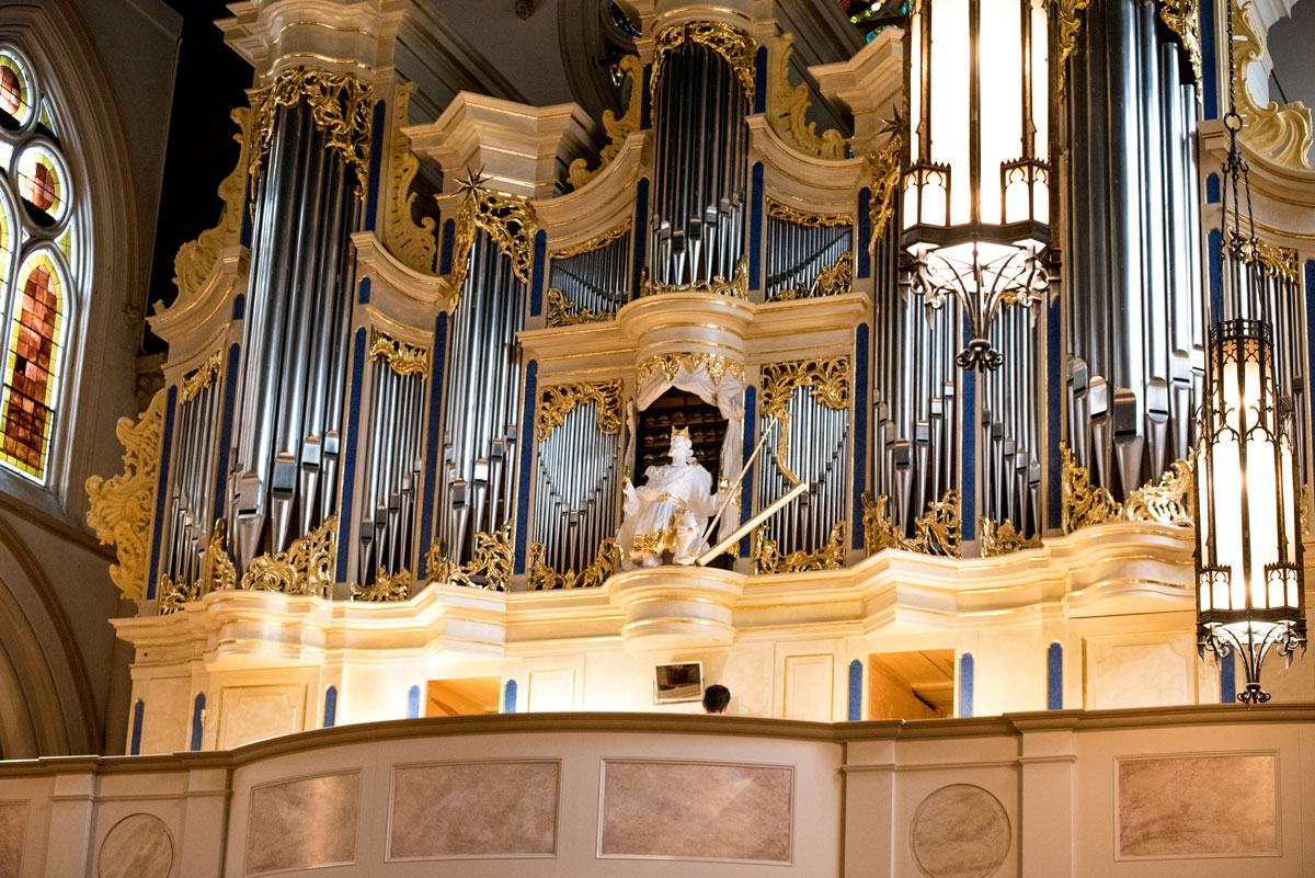organ