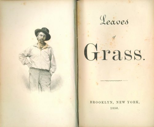 LEAVES OF GRASS