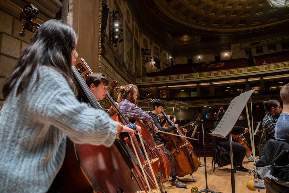 double bass lineup Philharmonia rehearsal instrument image