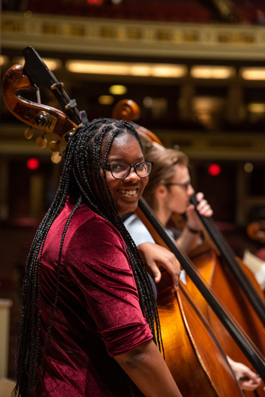 double bass student instrument image